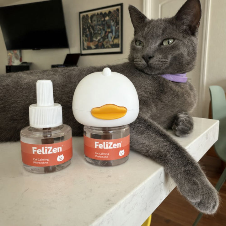 Review by Stéphanie B