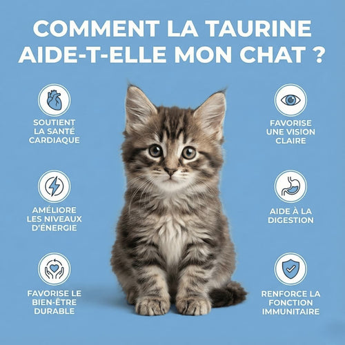 Prévenez la carence silencieuse avant même l'apparition des symptômes grâce au supplément de taurine Velorana™