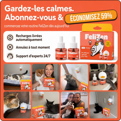 FeliZen — Kit diffuseur apaisant pour chats