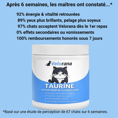 Prévenez la carence silencieuse avant même l'apparition des symptômes grâce au supplément de taurine Velorana™