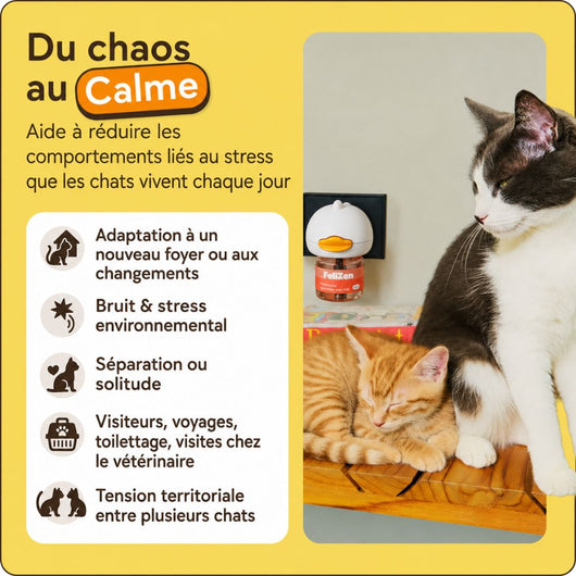 FeliZen — Kit diffuseur apaisant pour chats