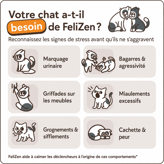 FeliZen — Kit diffuseur apaisant pour chats