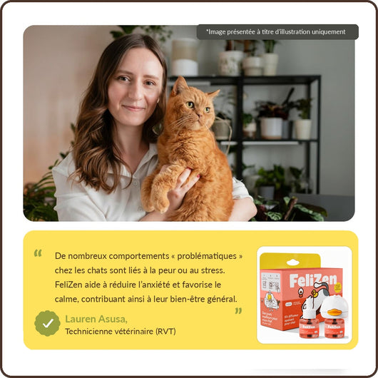 FeliZen — Kit diffuseur apaisant pour chats