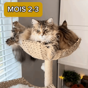 Calme et équilibré