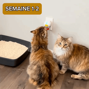Le stress s'atténue